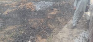 WhatsApp Image 2025-11-29 at 08.10.10_f495b32b