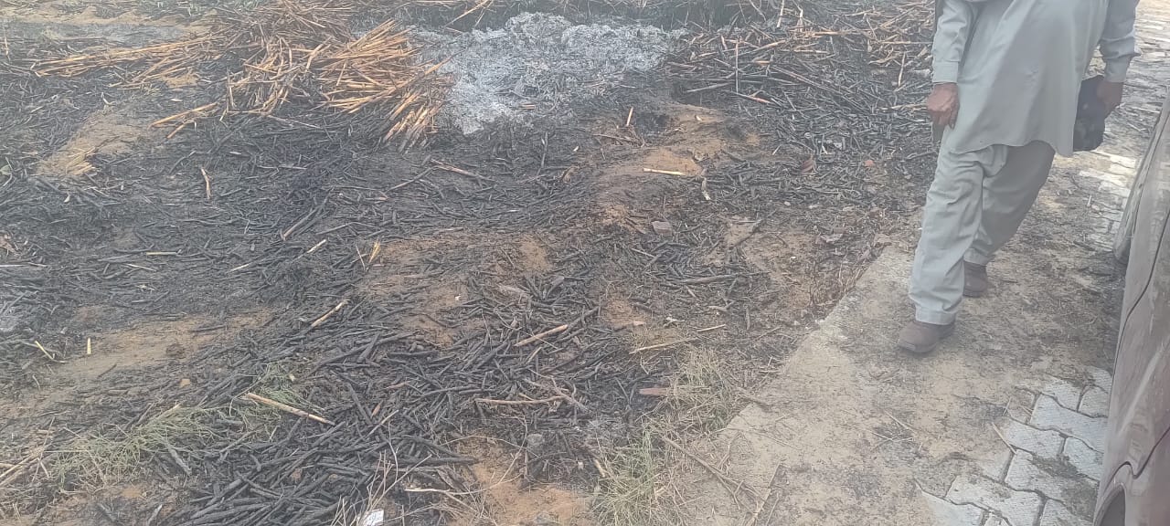 WhatsApp Image 2025-11-29 at 08.10.10_f495b32b