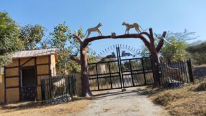 WhatsApp Image 2025-12-01 at 16.06.21_59f5ba72