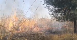 WhatsApp Image 2025-12-06 at 05.47.49_3503ed67