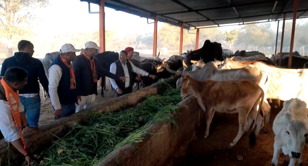 WhatsApp Image 2025-12-16 at 07.27.03_2d6f6cf3